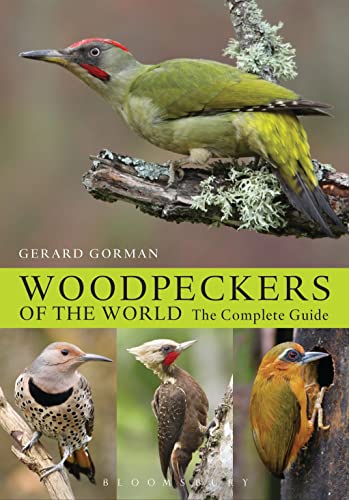 Woodpeckers of the World: The Complete Guide (Helm Photographic Guides) von Helm